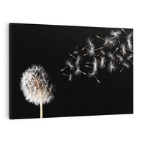 Obraz na płótnie 120x80 - Delikatne płatki dmuchawca - dmuchawiec, kwiaty