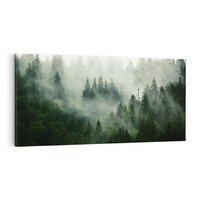 Obraz na płótnie 100x50 - Las Mgły - Las, we