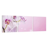 Obraz na płótnie 150x50 - Relaksujące Piękno - kwiaty, orchidea