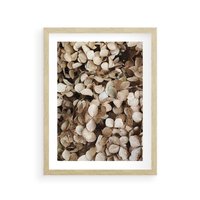 Plakat w ramie 30x40 - Delikatność Hortensji: Kompozycja Kwiatów w Beżu - hortensja, odcienie beżu - rama drewno