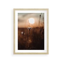 Plakat w ramie 40x50 - Spokój łąki pod zachodem słońca - zachód, słońca - rama drewno