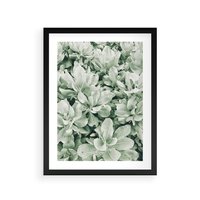 Plakat w ramie 50x70 - Liście w Jasnych Odcieniach Zielonego - liście, jasna zieleń fotografia - rama czarna