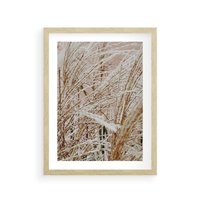 Plakat w ramie 40x50 - Beżowa Trawa - suche trawy, zbliżenie - rama drewno