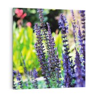 Obraz na płótnie 40x40 - Ogród Lawendowy - lawenda, kwiat