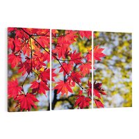 Obraz na płótnie 120x80 - Jesienny Urok Drzewa i Opadających Liści - drzewo, liście