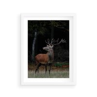 Plakat w ramie 50x70 - Spotkanie z naturą - jeleń, las - rama biała