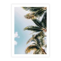 Plakat bez ramy 30x40 - Pod Błękitnym Niebem - palmy, ujęcie z dołu
