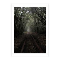 Plakat bez ramy 21x30 - Urok Drogi - las, droga