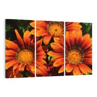 Obraz na płótnie 120x80 - Kwiatowa Esencja - kwiat, kwiaty