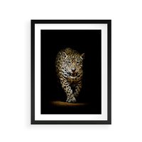 Plakat w ramie 50x70 - Elegancja lamparta - lampart, pantera - rama czarna