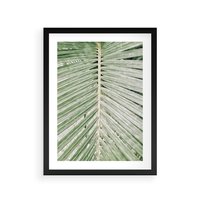 Plakat w ramie 50x70 - Jasna Zieleń Palmy - liść palmy, zbliżenie - rama czarna