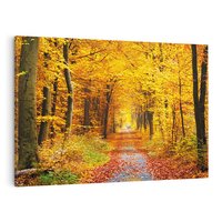 Obraz na płótnie 70x50 - Jesień w lesie - las, drzewa