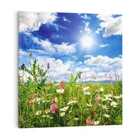 Obraz na płótnie 30x30 - Niebiańska łąka pełna kwiatów - łąka, niebo