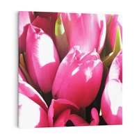 Obraz na płótnie 50x50 - Tulipany w pejzażu - tulipany, kwiaty