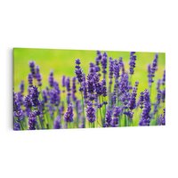 Obraz na płótnie 100x50 - Lawenda w naturze - lawenda, kwiaty