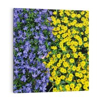 Obraz na płótnie 50x50 - Tulipanowe Elegancja - kwiat, kwiaty