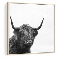 Obraz w ramie 50x50 - Moc i Spokój - amerykańskie bydło, byk - rama drewno