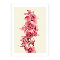 Plakat bez ramy 21x30 - Orchidea w spa - relaks - orchidea, spa