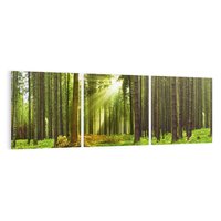 Obraz na płótnie 90x30 - Spokój wśród drzew: las w odcieniach zieleni - las, drzewa