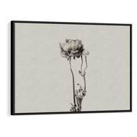 Obraz w ramie 100x70 - Cień Kwiatowej Delikatności - kwiat, cień - rama czarna