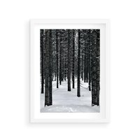 Plakat w ramie 30x40 - Zimowe Drzewa: Śnieg na Pniach - drzew w zimi, pnie drzew - rama biała
