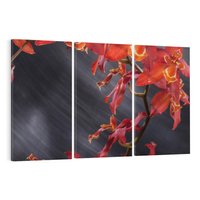 Obraz na płótnie 120x80 - Kolorowy Raj - kwiaty, tropikalne