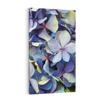 Obraz na płótnie 70x100 - Hortensja - delikatność kwiatów - hortensja, kwiaty