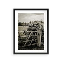 Plakat w ramie 40x50 - Wiejski Urok: Stary Płot i Kwitnący Krzew - rustykalne zdjęcie, stary płot - rama czarna