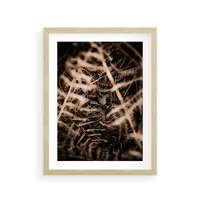 Plakat w ramie 40x50 - Liście i Paprocie - suche liście, paprocie - rama drewno