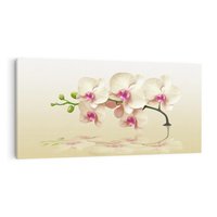 Obraz na płótnie 100x50 - Kwiatowa harmonia w SPA - orchidea, kwiat