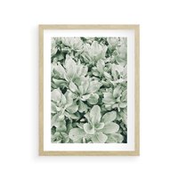 Plakat w ramie 30x40 - Liście w Jasnych Odcieniach Zielonego - liście, jasna zieleń fotografia - rama drewno
