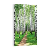 Obraz na płótnie 70x100 - Bajkowy las pełen brzóz - las, brzozy