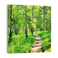 Obraz na płótnie 30x30 - odkryj piękno drzew - las, drzewa