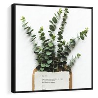 Obraz w ramie 50x50 - Eukaliptusowa harmonia - eukaliptus, liście - rama czarna