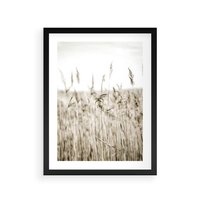 Plakat w ramie 40x50 - Nostalgiczny Pejzaż - suche trawy, pole - rama czarna