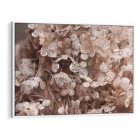 Obraz w ramie 120x80 - Przemijająca Piękność - fotografia, zbliżenie - rama biała