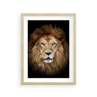 Plakat w ramie 50x70 - Król zwierząt w majestatycznym stylu - lew, król - rama drewno