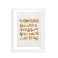 Plakat w ramie 50x70 - Liście Złotego Sezonu - kompozycja z suchych żółtych liści - rama biała