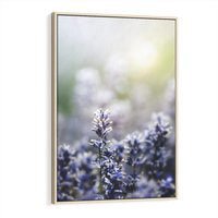 Obraz w ramie 80x120 - Delikatna Uroda Natury - wrzosy, fiolet - rama drewno