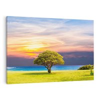 Obraz na płótnie 70x50 - Drzewo, Morze, Trawa - Naturalna Harmonia - drzewo, morze