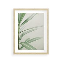 Plakat w ramie 40x50 - Minimalistyczna Tropikalna Harmonia - tropikalna roślina, zielone liście - rama drewno