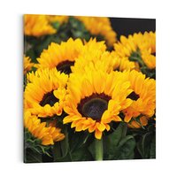 Obraz na płótnie 30x30 - promień słoneczny w kwiatowym świecie - słoneczniki, kwiat
