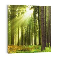 Obraz na płótnie 40x40 - Spokój wśród drzew: las w odcieniach zieleni - las, drzewa