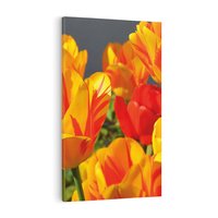 Obraz na płótnie 50x70 - Kwiatowa Harmonia - kwiaty, kwiat