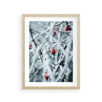 Plakat w ramie 50x70 - Zima na Gałęziach - zima, oszronione gałęzie - rama drewno