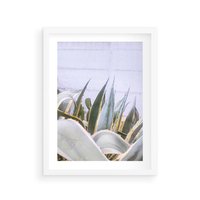 Plakat w ramie 40x50 - Sukulentowe liście - liście, sukulenty - rama biała