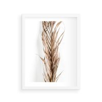 Plakat w ramie 30x40 - Minimalizm Palmowy: Sucha Uroda - sucha palma, minimalizm - rama biała