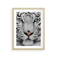 Plakat w ramie 30x40 - Magia Białego Tygrysa - biały, tygrys - rama drewno
