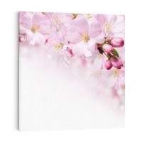 Obraz na płótnie 80x80 - Kwitnąca Wiśnia - kwiaty, kwitnącej