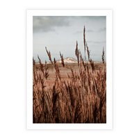 Plakat bez ramy 21x30 - Wysokie Trawy w Górskim Krajobrazie - suche trawy, wysokie trawy